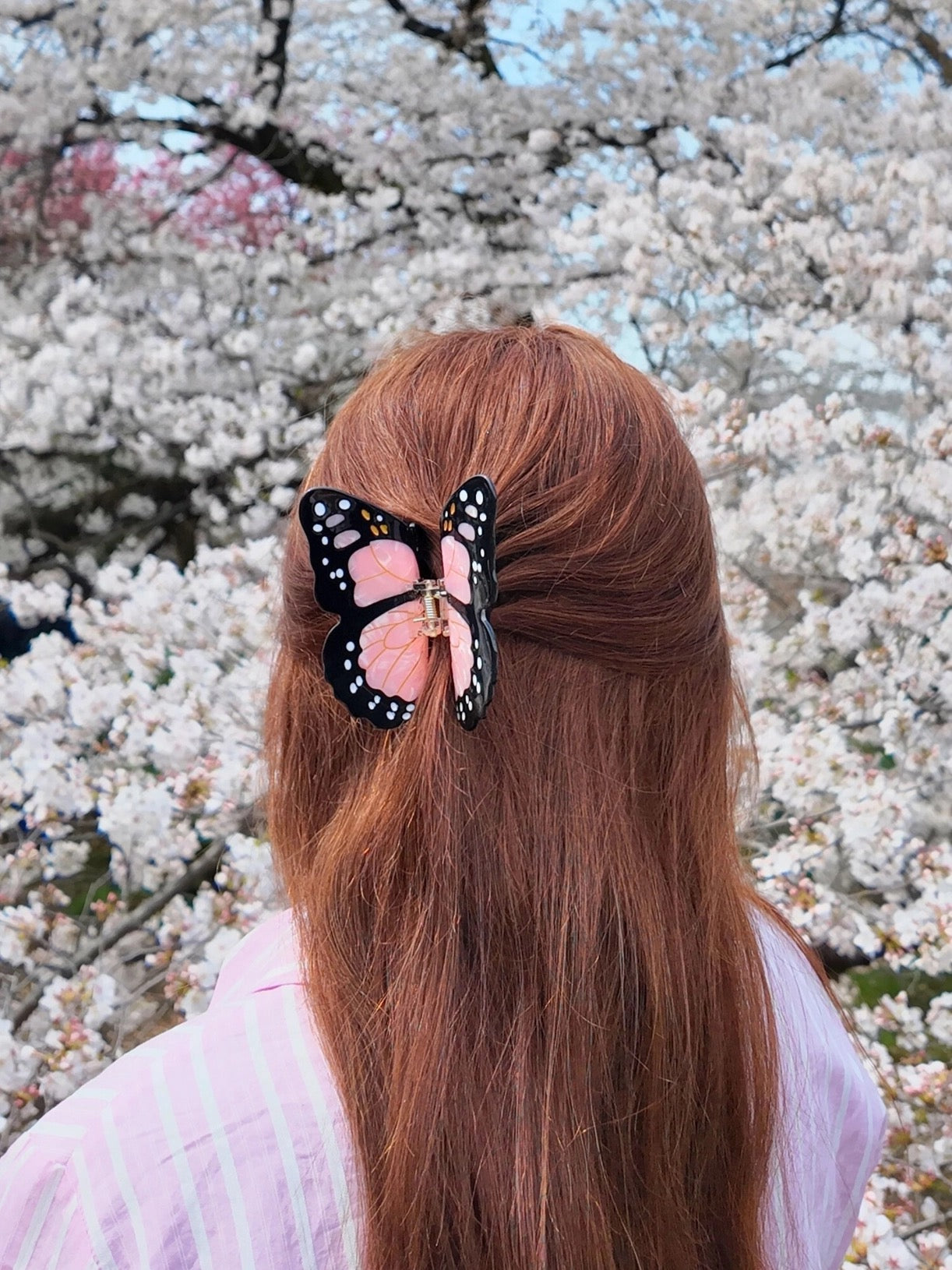 Blushing Monarch